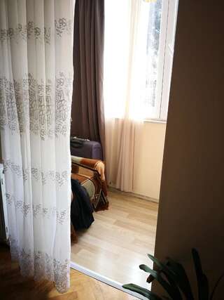 Проживание в семье Apartment Erekle Боржоми Бюджетный двухместный номер с 1 кроватью-8