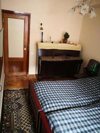 Проживание в семье Apartment Erekle Боржоми Бюджетный двухместный номер с 1 кроватью-23