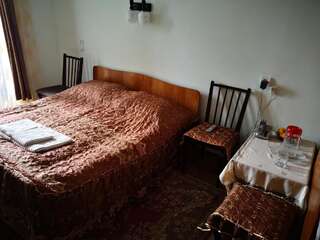Проживание в семье Apartment Erekle Боржоми Бюджетный двухместный номер с 1 кроватью-4